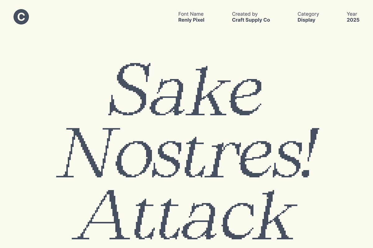 Renly Pixel, a Serif Font by Craft Supply Co. (Photo 2 of 8)