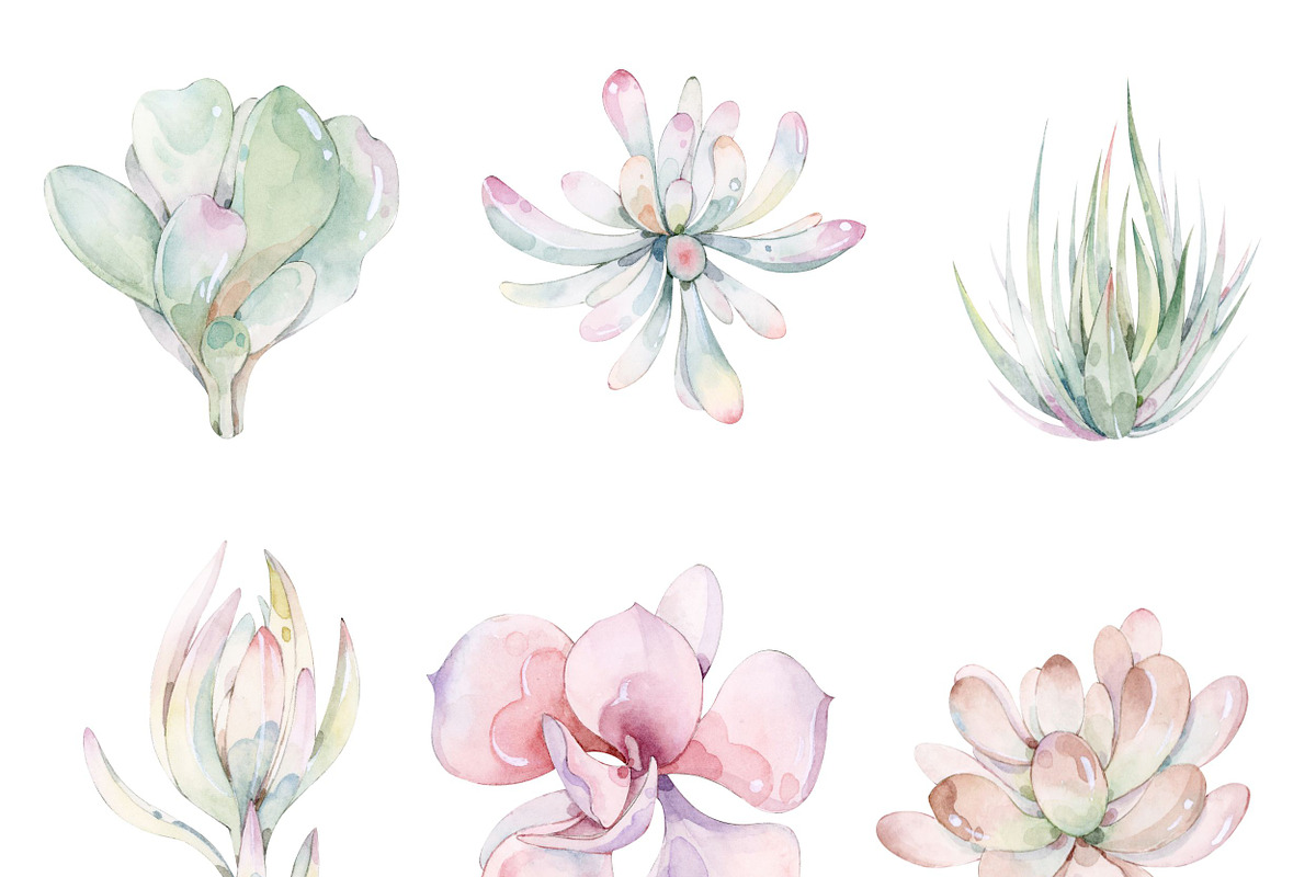 Watercolor Succulent Plants, an Object Illustration by ArtbyHien (Photo 2 of 4)