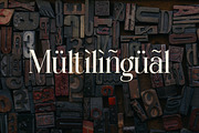 Wondernesia Nostalgic & Modern Serif, a Serif Font by Lettertype Studio (Thumbnail 14 of 15)