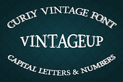 Vintage font with curls, a Font by Guten Tag Vector (Thumbnail 1 of 4)