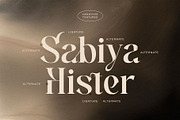 Herista - Aesthetic Serif Font, a Serif Font by Jimoji (Thumbnail 6 of 7)