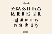 Aesthetic Romance, a Sans Serif Font by Sign Studio (Thumbnail 10 of 16)