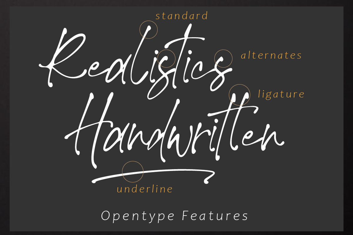 Theory Of Signature, a Script Font by AMINMARIO (Photo 7 of 9)