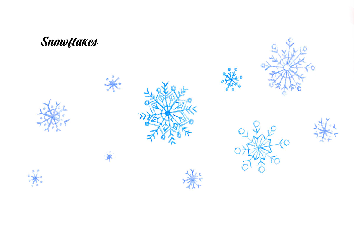 30 PNG images. Winter forest animals, an Animal Illustration by Art by Lady Natali (Photo 6 of 8)