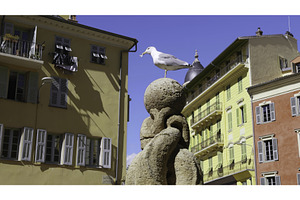 Seagull perched on a stone sphere in, an Architecture Photo by Media Whale Stock