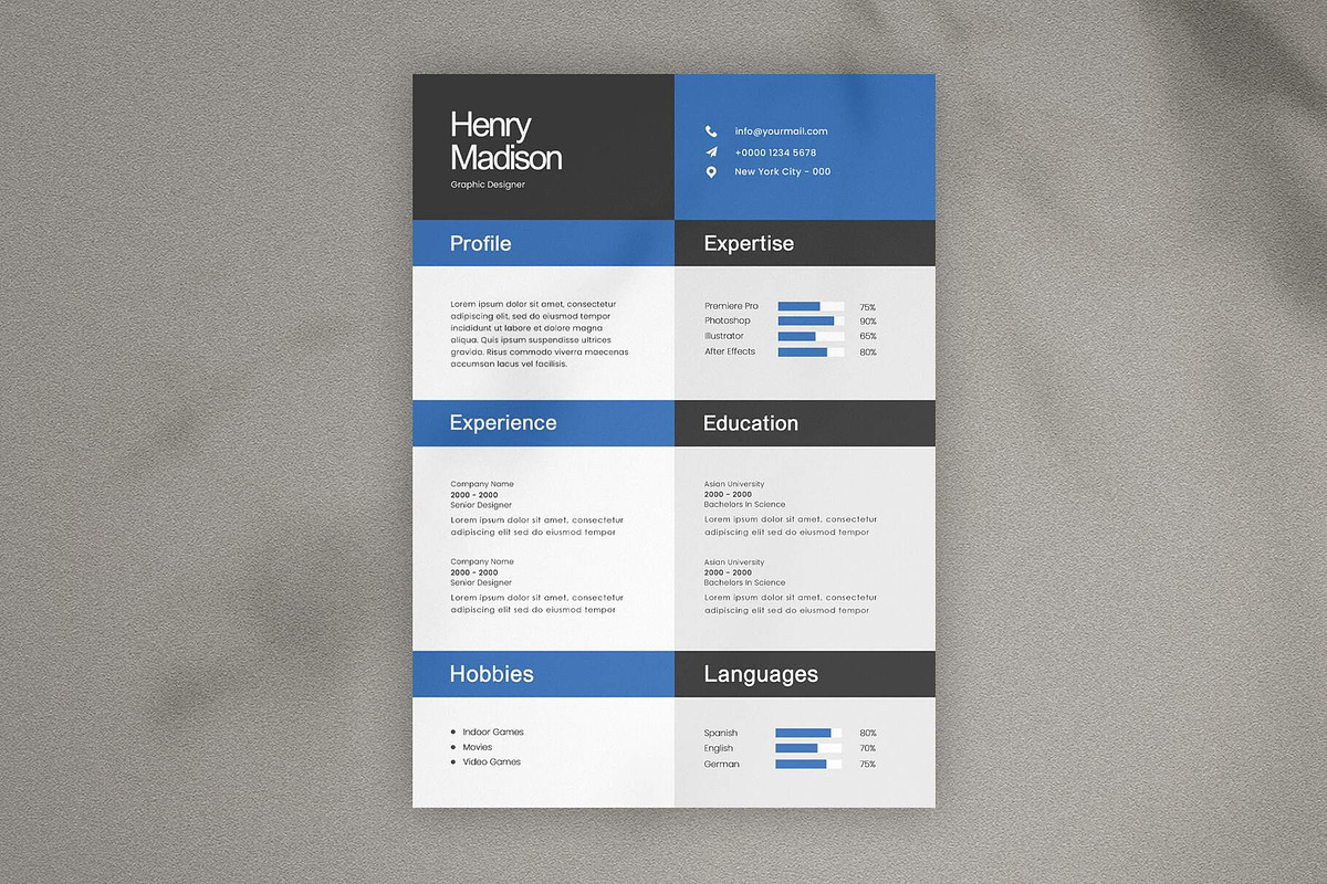 Modern Minimal Resume CV preview 2