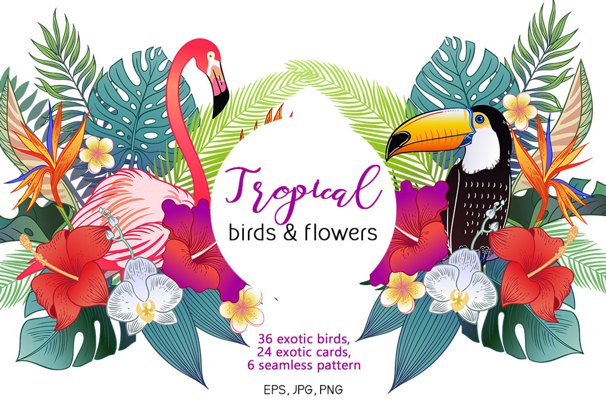 Tropical birds & flowers, an Object Graphic by Anastasia (Photo 1 of 12)