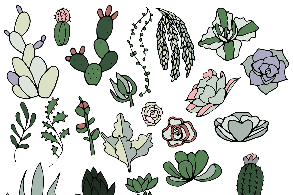 Succulents- outline & color, an Illustration by Valeri Nick (Photo 4 of 5)