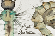 Mosquito Life Cycle Clip Arts, an Education Illustration by Tati Bordiu (Thumbnail 4 of 4)