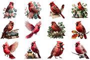 Watercolor Red Cardinal Bird Clipart, an Illustration by Craft Nest (Thumbnail 3 of 4)