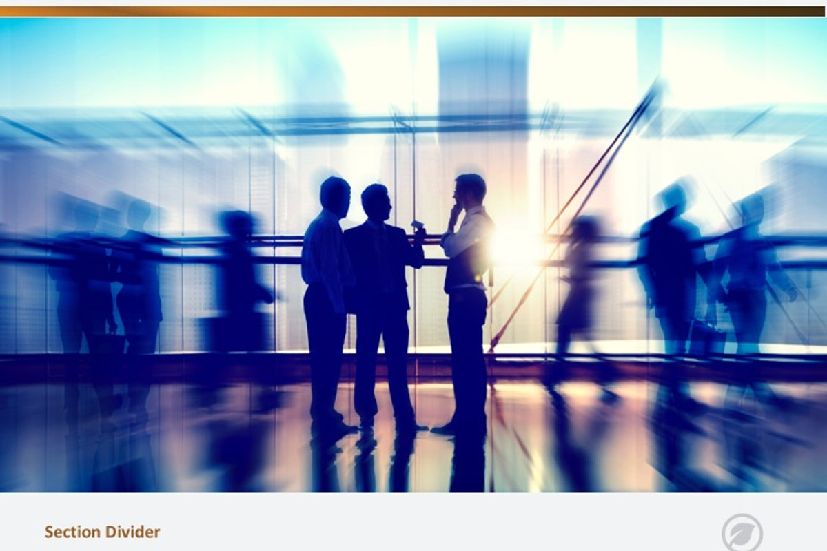 Consultant or Sales Template, a Templates & Theme by Iconography - Pitch Deck (Photo 15 of 15)
