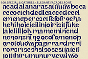 Elegant Facades - Modern Sans Font, a Sans Serif Font by 177Studio (Thumbnail 8 of 8)