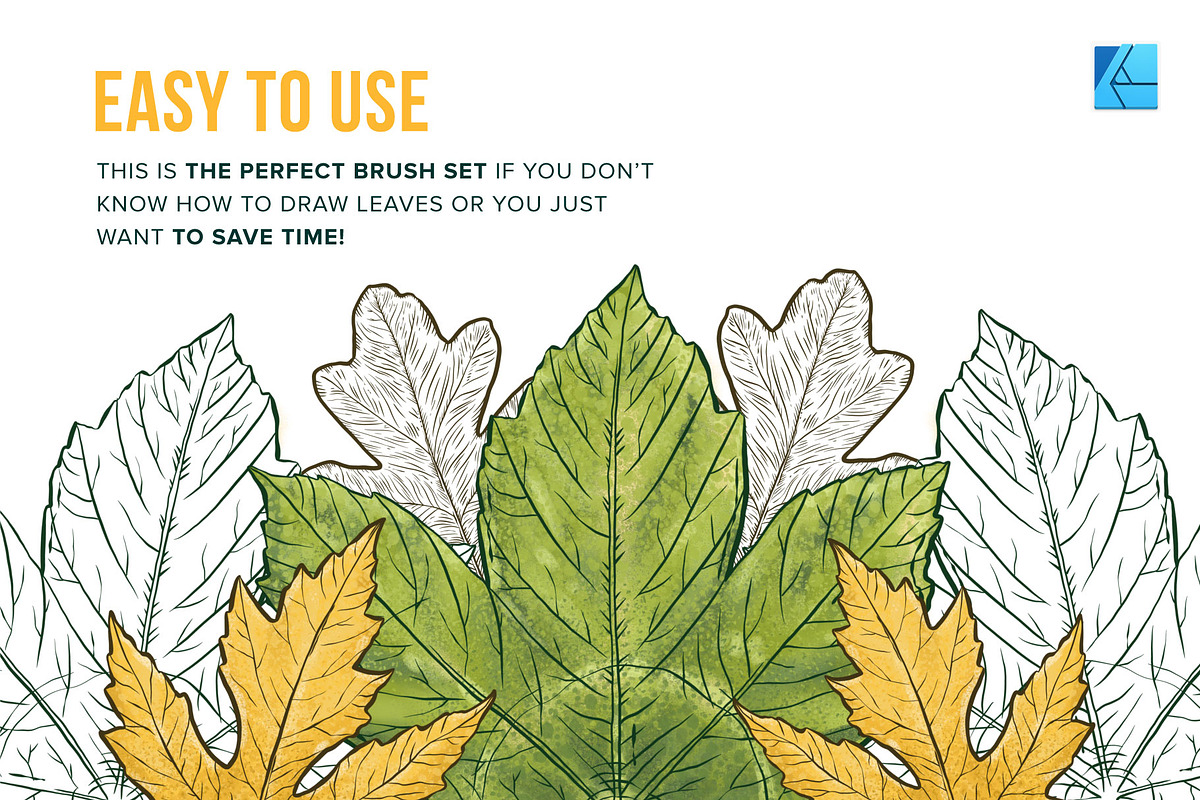 12 Leaf Affinity Stamp Brushes, a Brush Add-On by Riveros Illustration (Photo 5 of 9)