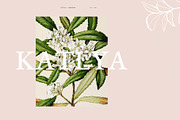 KATLYA - Powerpoint Template, a Presentation Template by Elokka Std. (Thumbnail 2 of 11)