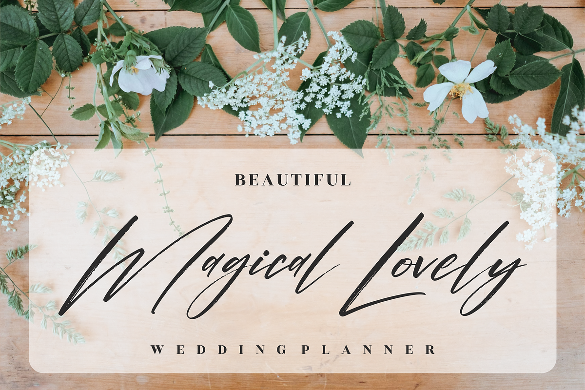 Pantherdam Signature Signature Brush, a Script Font by Letterena Studios Script (Photo 5 of 15)