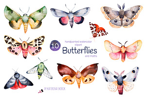 Butterflies And Moths