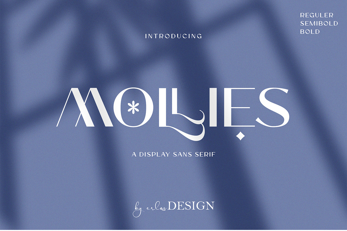 The Font Bundle 12 Modern Fonts, a Handwritten Font by erlosDESIGN (Photo 11 of 13)
