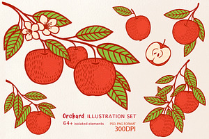 Orchard Illustration Set