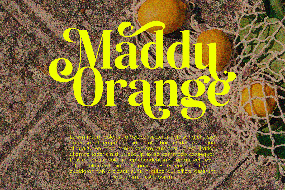 Shakira Beauty Serif, a Serif Font by Violet Natural (Photo 11 of 13)