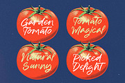 Melody Life Modern Handwritten Font, a Script Font by stylishtype.co (Thumbnail 5 of 15)