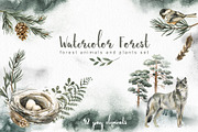 Watercolor forest Animals and Plants, an Animal Illustration by Alamella (Thumbnail 1 of 7)