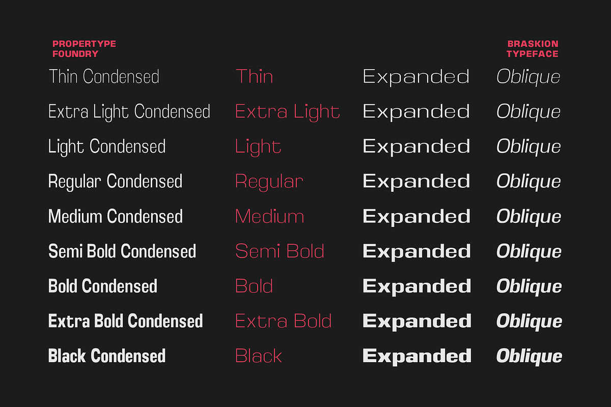 Braskion, a Sans Serif Font by Propertype (Photo 11 of 15)