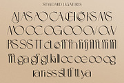 Allegra de Amour - Display, a Sans Serif Font by Typetemp Studio (Thumbnail 21 of 22)