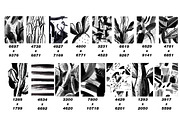 Hand Drawn Black&White Backgrounds, a Texture Illustration by Anny (Thumbnail 8 of 12)