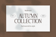 Wallmore – Elegant Display Serif, a Serif Font by Vadovastd (Thumbnail 5 of 8)