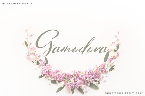 Gamodora preview 7