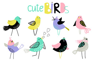 Birds & Butterflies