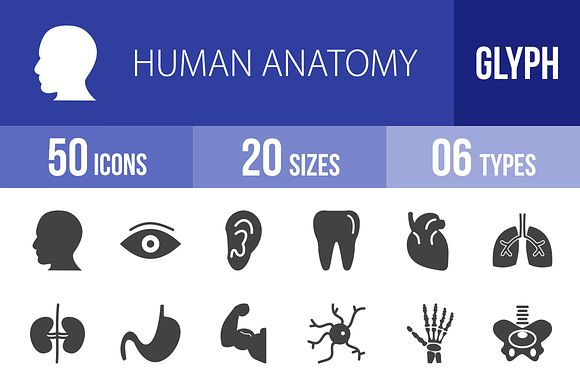 50 Human Anatomy Glyph Icons