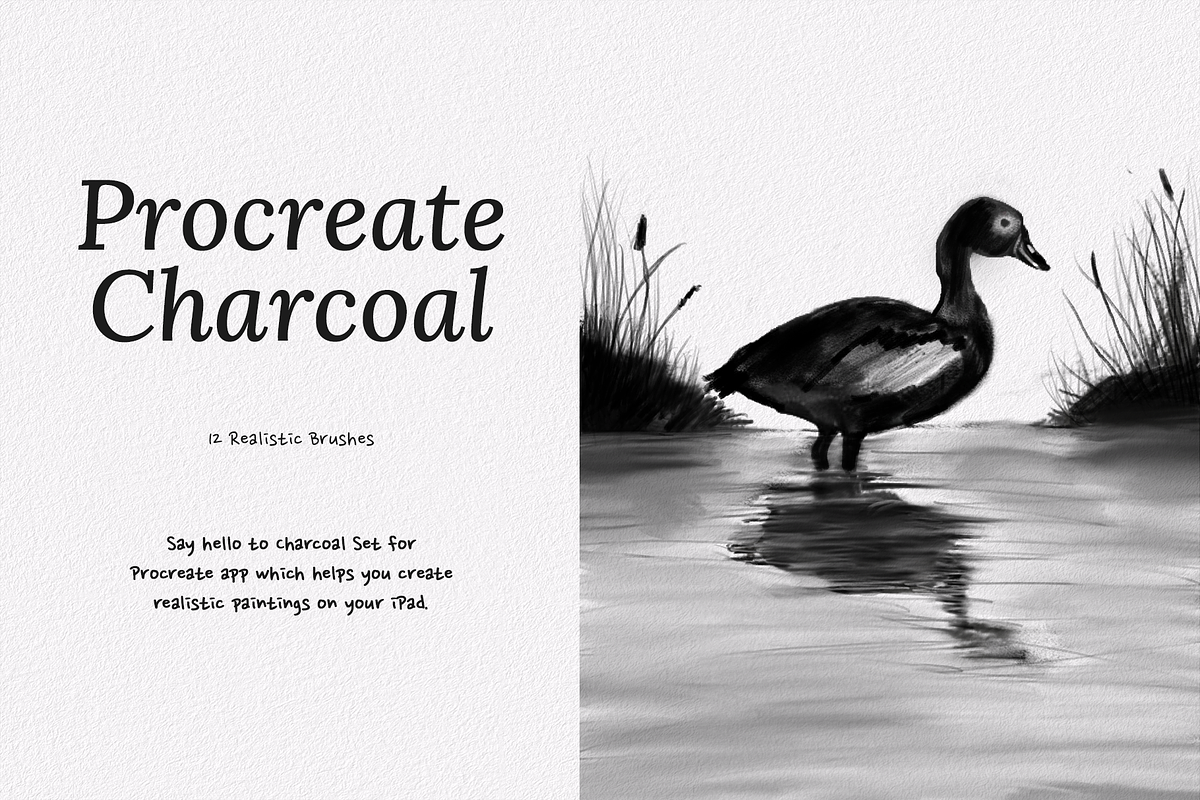 Procreate Charcoal Brush Set, a Brush Add-On by Brush Moment (Photo 1 of 9)