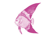 10 Vector Ocean Illustration Pack, an Illustration by Theresa Barba (Thumbnail 7 of 11)