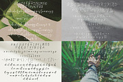 Casual Signature Font Bundles, a Handwritten Font by tebaltipislab (Thumbnail 29 of 46)