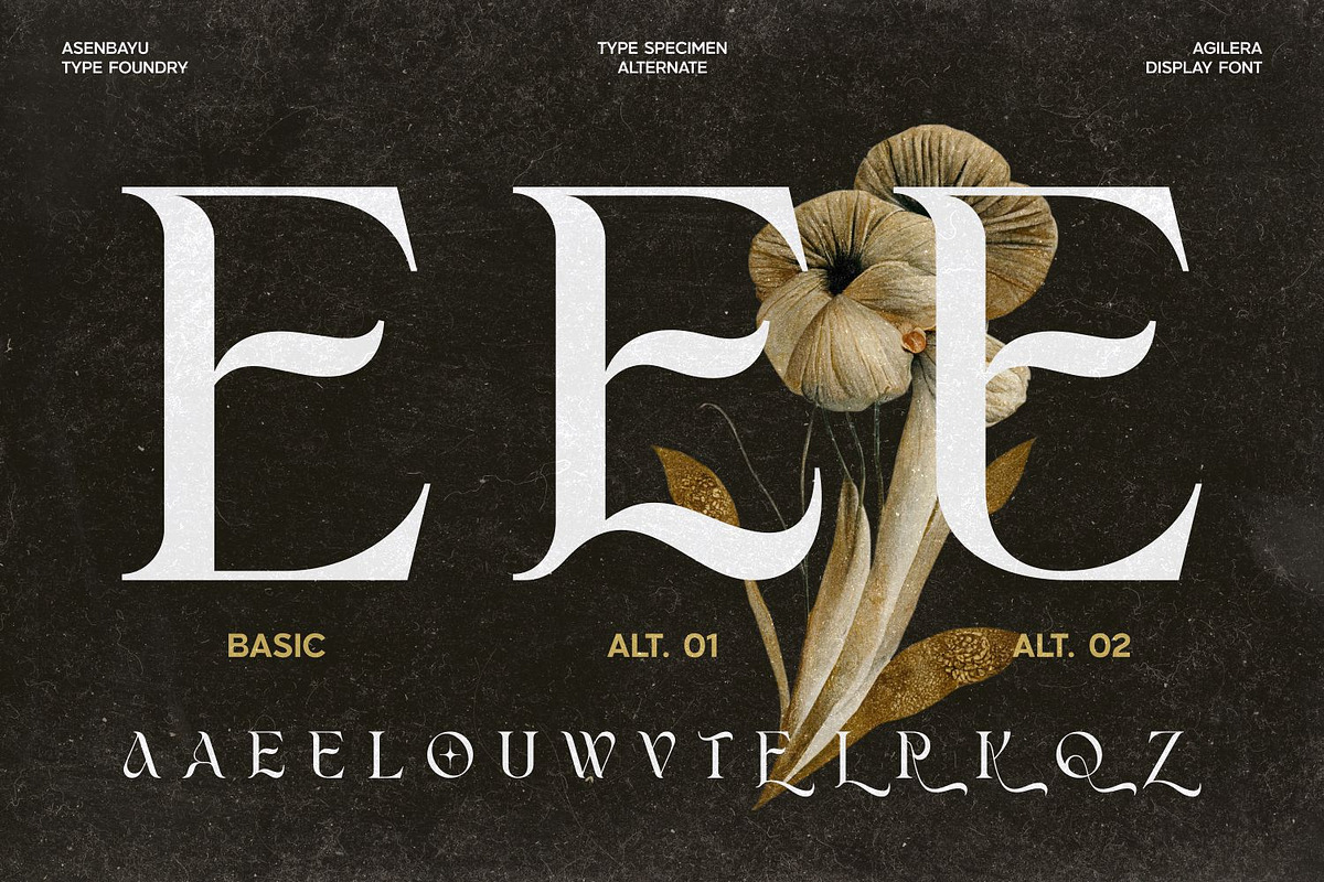 Agilera - Stylish Ligature Font, a Serif Font by Asenbayu (Photo 9 of 15)