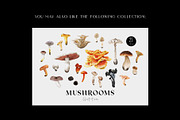Mushroom illustration. Fungi clipart, a Food Illustration by Diana Askarova Art (Thumbnail 5 of 6)