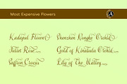 Smiling Moon - Modern script font, a Script Font by Attractype (Thumbnail 4 of 9)