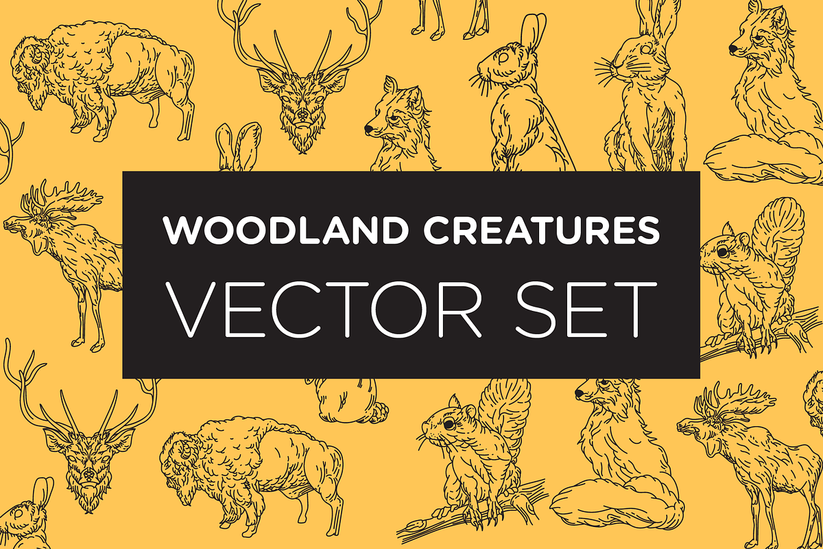 Woodland Creature Illustrations, an Animal Illustration by Inkwell Supply Co (Photo 1 of 10)