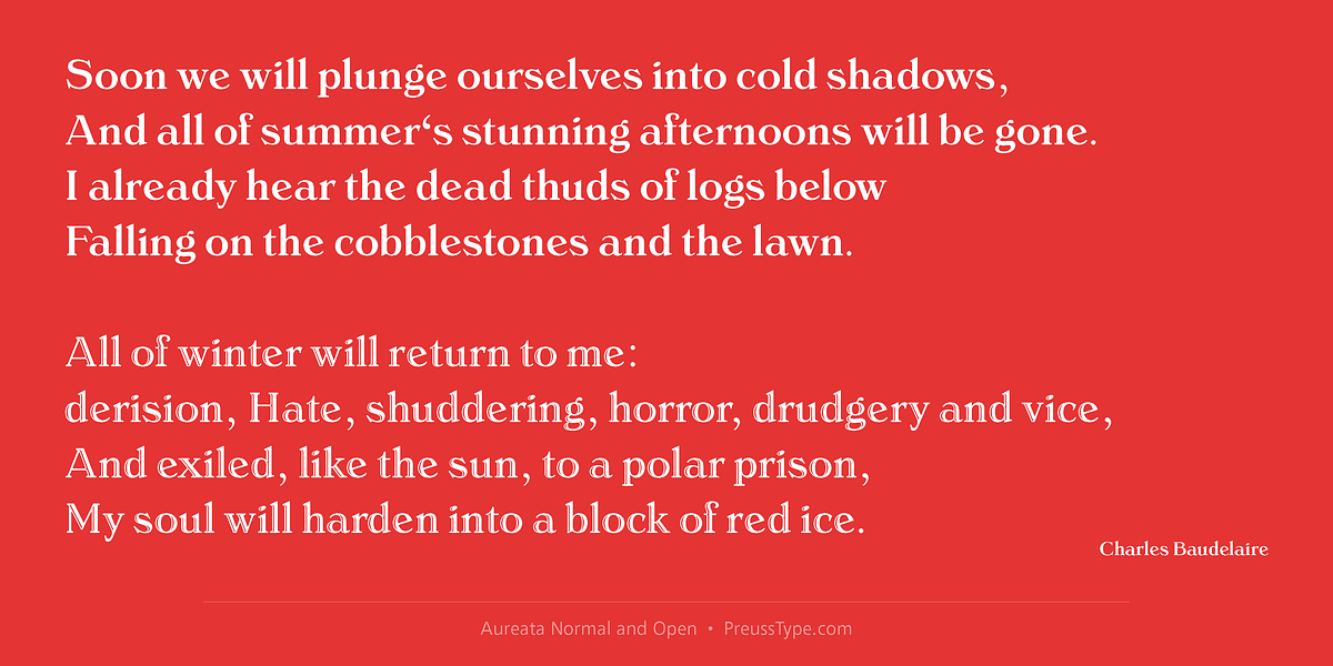 Aureata, a Serif Font by preussTYPE (Photo 6 of 10)