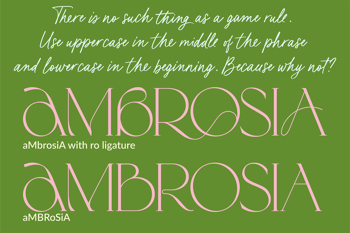 Karme // Modern Font Duo, a Serif Font by PeachCreme (Photo 4 of 13)