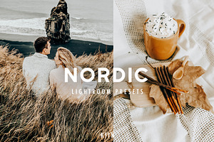 10 NORDIC LIGHTROOM PRESETS