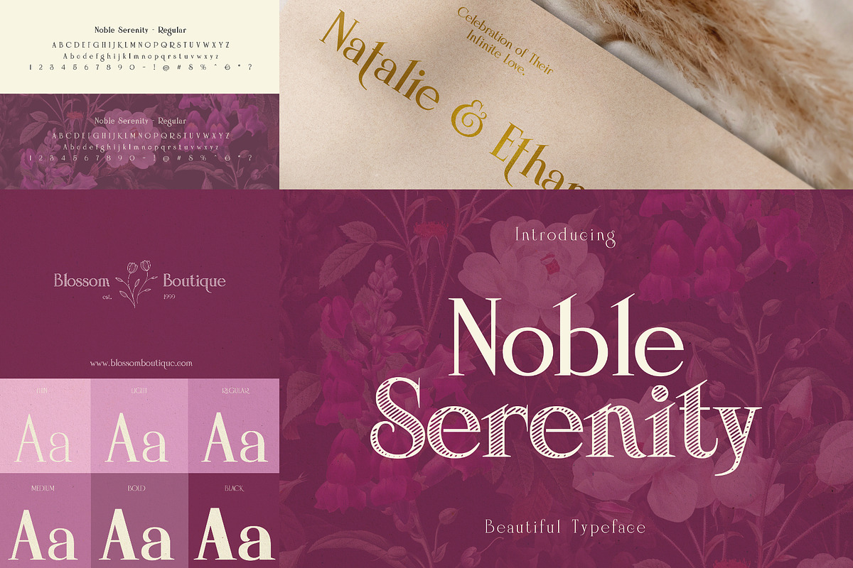 Old Money Aesthetic Font Bundle, a Serif Font by HipFonts (Photo 6 of 10)