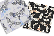 Night Moth. Watercolor Patterns, a Pattern Graphic by NKTKNS (Thumbnail 5 of 7)