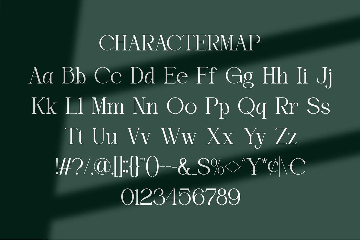 Eiden || Modern Serif Font, a Serif Font by Idea Studio (Photo 10 of 11)