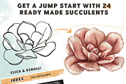 Succulent Builder Procreate Brushkit, a Brush Add-On by Wooly Pronto (Thumbnail 3 of 7)