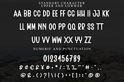 Daily Holiday, a Script Font by InermediaSTUDIO (Thumbnail 5 of 8)