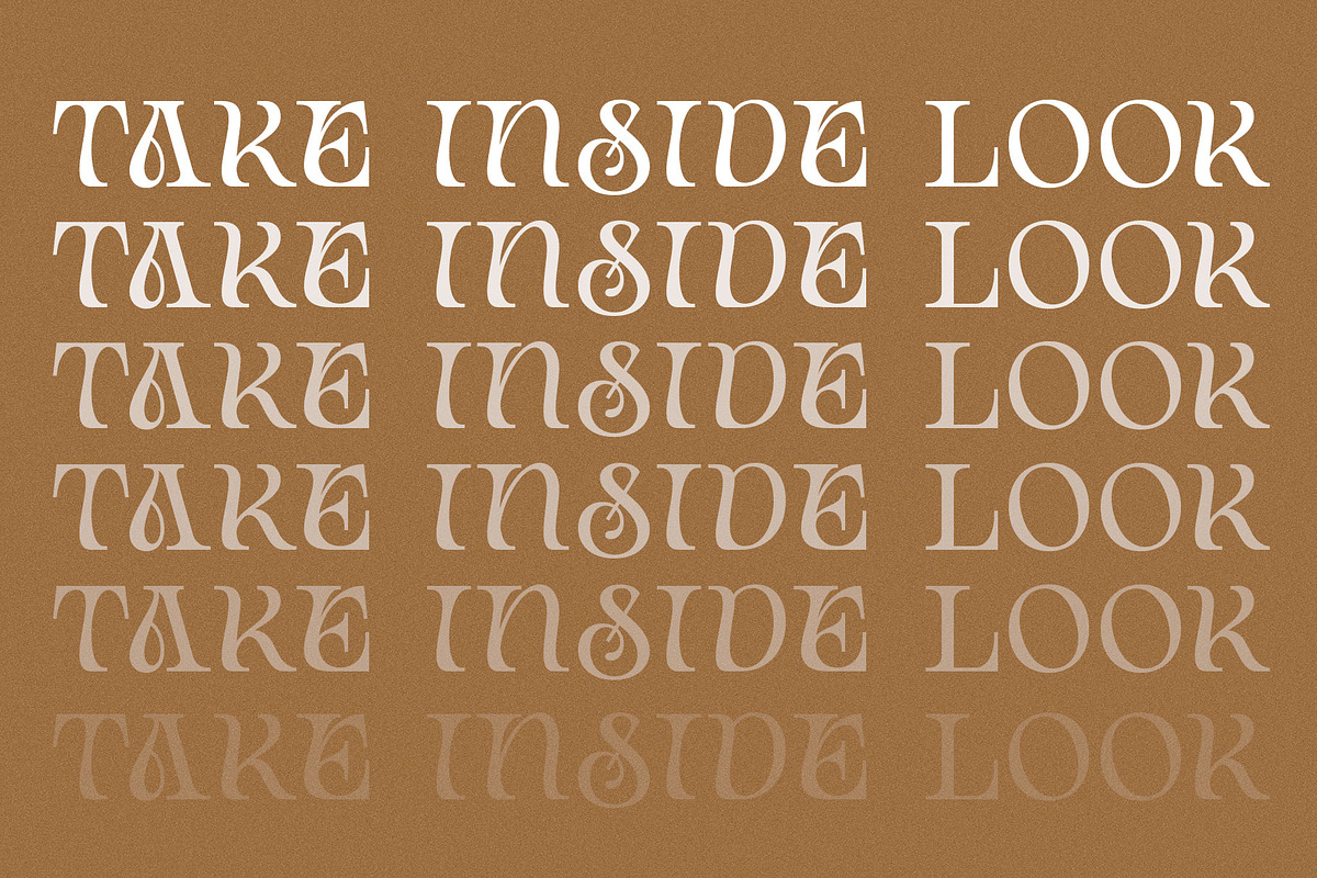 Berisa Modern Serif Font preview 8