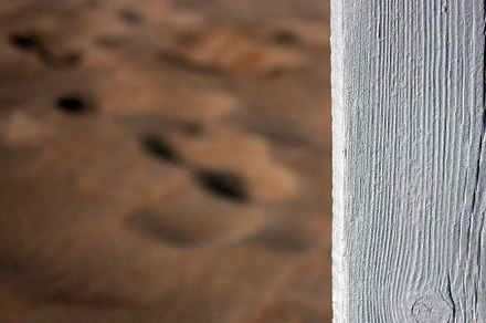 Board texture on blurred background, an Abstract Photo by Schreibikus