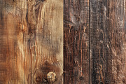 Wood - 163 images, a Nature Photo by Handmadefont (Thumbnail 18 of 25)